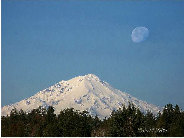 Shasta Moon