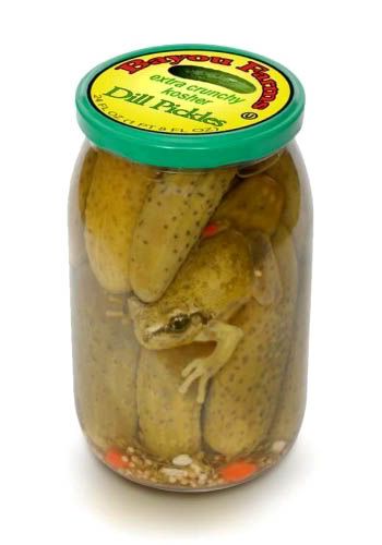 cat pickles
