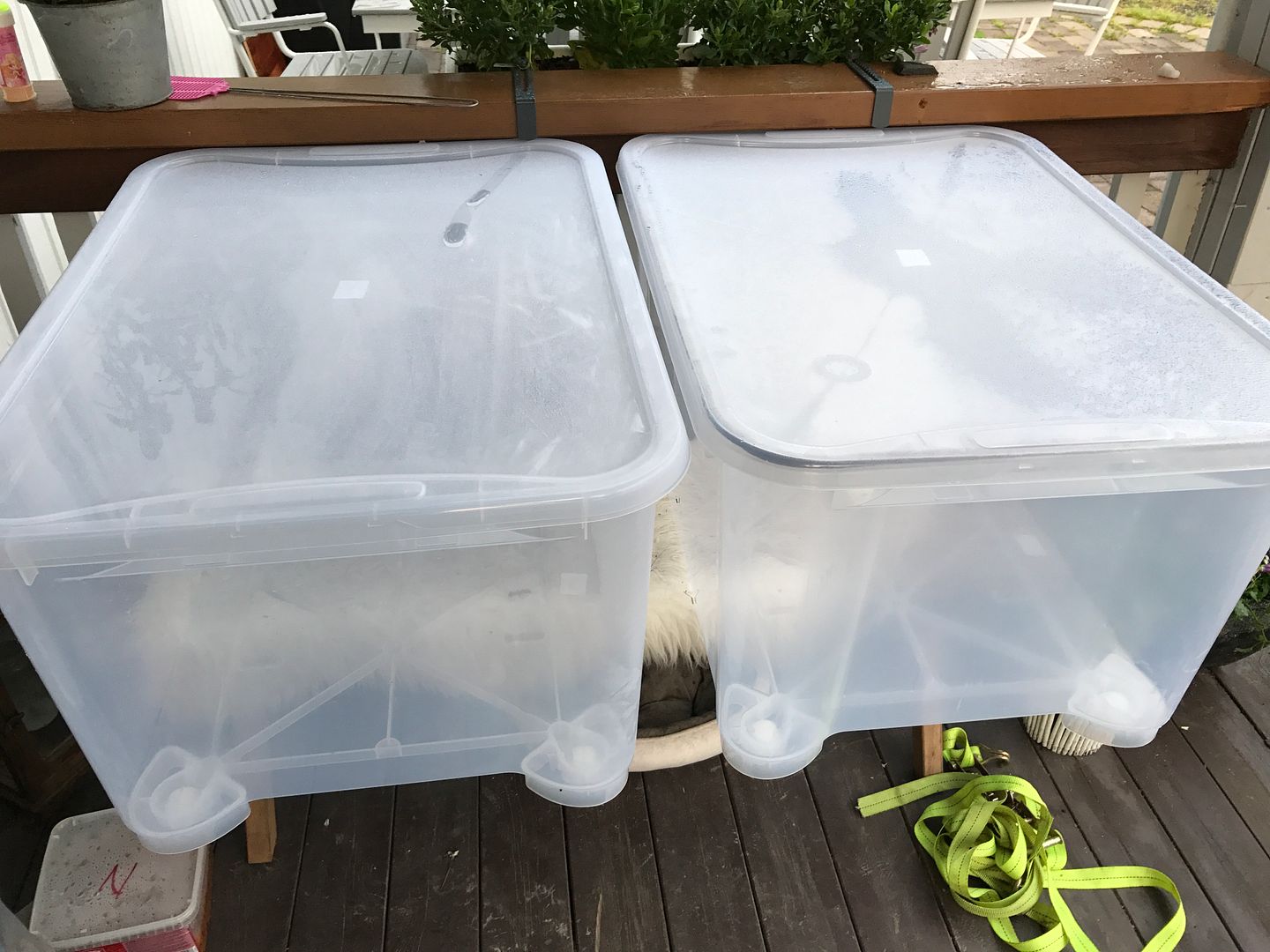 D3F90528-CFF1-4308-ADA8-97D4DA8C432F_zps