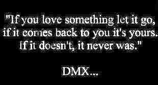 dmx quote