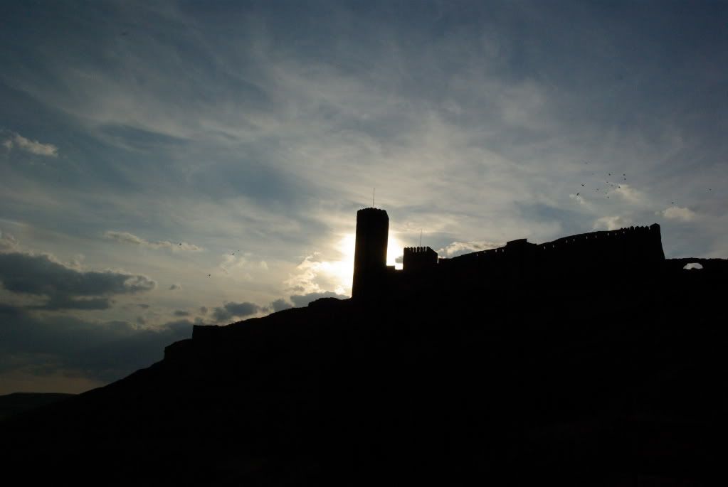 IMGP2494.jpg