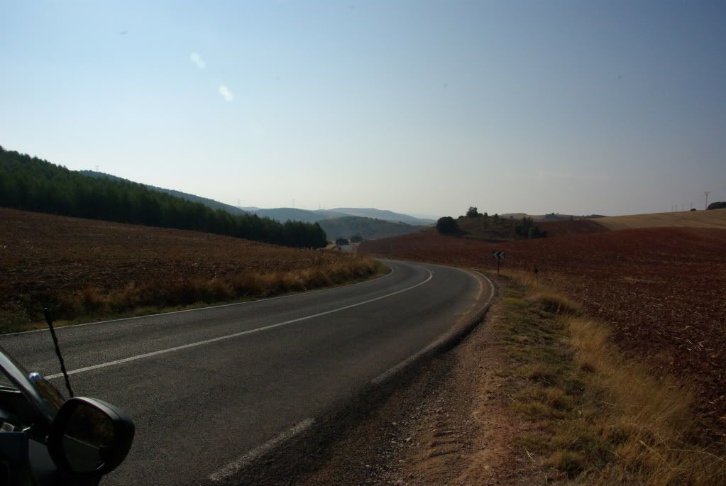 IMGP2511.jpg