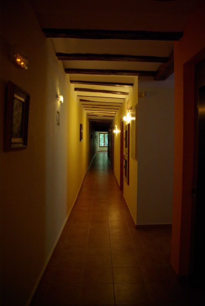 IMGP2536.jpg