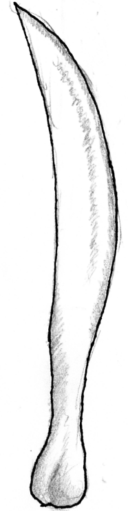 ITNWboneknife.png