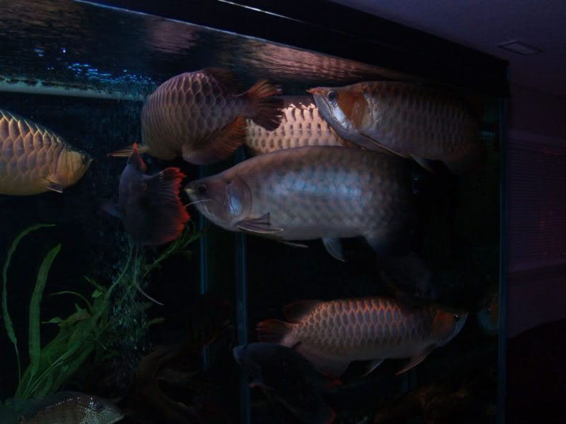 20081205038.jpg