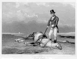 748_zpsuvwjmdlj.gif