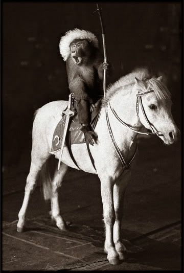 monkey-rider-retouched.jpg