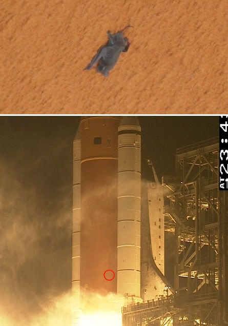 rip20space20bat.jpg
