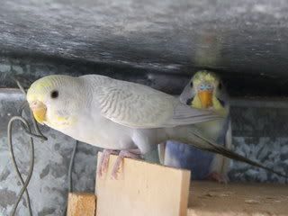 222003.jpg
