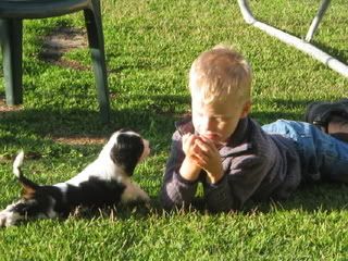 IMG_1623_2.jpg