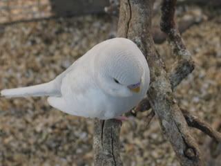 IMG_2467.jpg