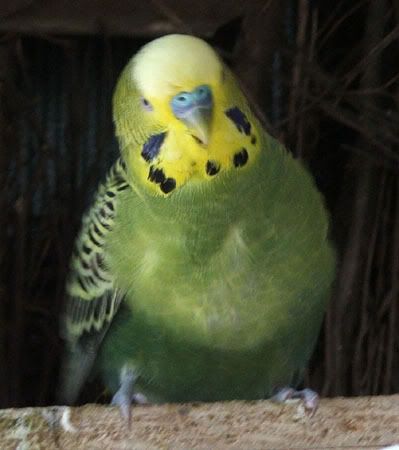 radar.jpg