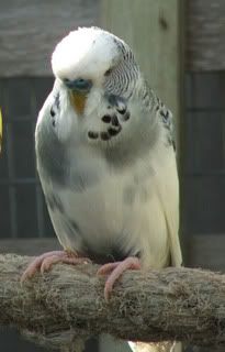 xx-x241A-1.jpg