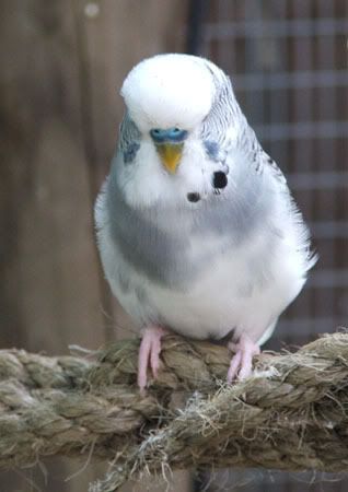 xz157x.jpg