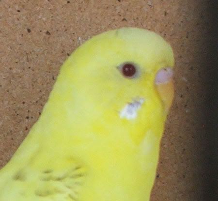 zz084.jpg