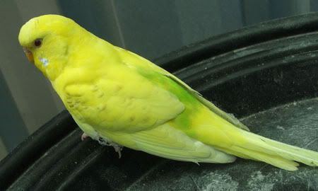 zz092.jpg