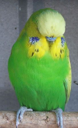 zzzz241x-1.jpg