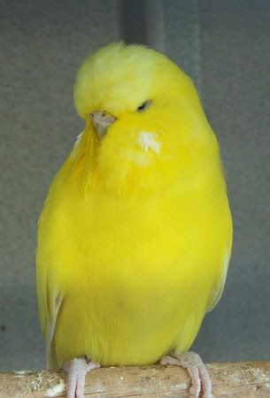 zzzz242x.jpg
