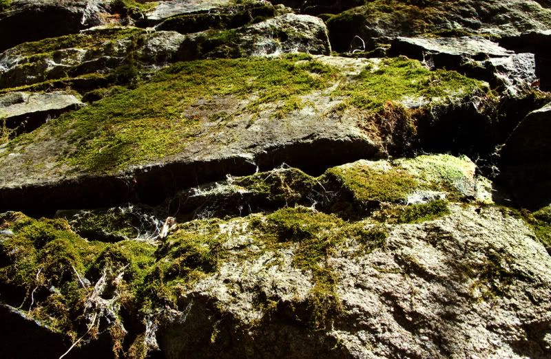 IMAGE: http://i98.photobucket.com/albums/l248/outofthebox_1/April16th08savagemillandoffroadi-3.jpg