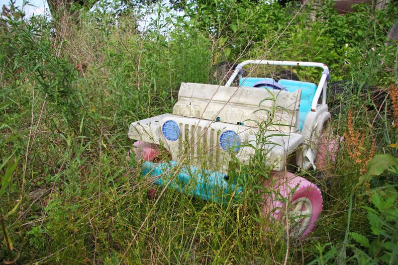 IMAGE: http://i98.photobucket.com/albums/l248/outofthebox_1/Eastern%20Shore%20Exploring/EasternShoreExploring142b.jpg