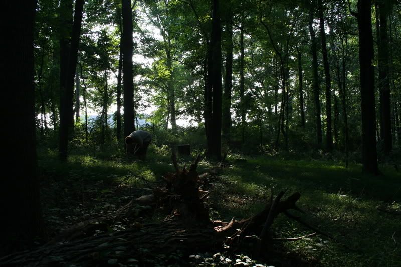 IMAGE: http://i98.photobucket.com/albums/l248/outofthebox_1/Junkyards%20and%20cemeteries/IMG_0275.jpg