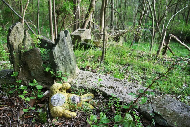 IMAGE: http://i98.photobucket.com/albums/l248/outofthebox_1/Stairwaysnonowherept2009b.jpg