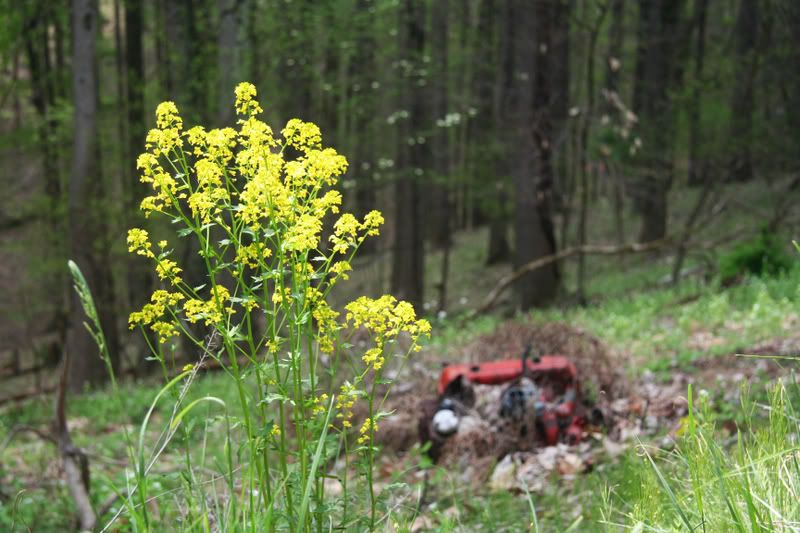 IMAGE: http://i98.photobucket.com/albums/l248/outofthebox_1/Stairwaysnonowherept2178b.jpg