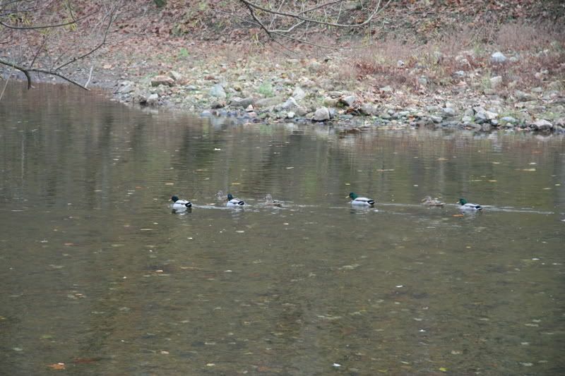 IMAGE: http://i98.photobucket.com/albums/l248/outofthebox_1/Stairwaystonowhere029.jpg