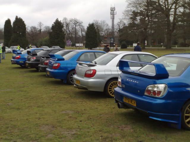 23032008012.jpg