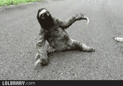 http://i98.photobucket.com/albums/l249/SPRINGHEEL69/go-home-sloth-youre-drunk-45130_zps7d224ecd.gif