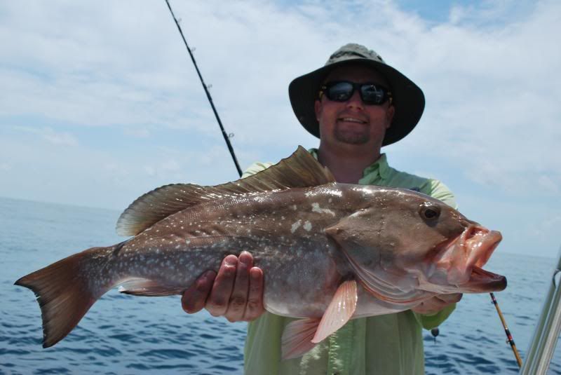 DSC_0286_zpse51532bb.jpg