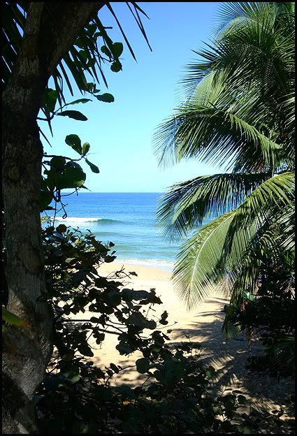 IMAGE: http://i98.photobucket.com/albums/l251/22wannabe/pools-beach-PR2008.jpg