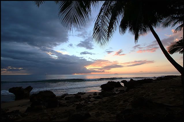 IMAGE: http://i98.photobucket.com/albums/l251/22wannabe/the-spot-PR2008.jpg