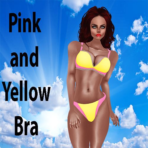  photo Pink and Yellow Bra.jpg