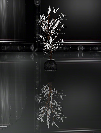  photo silver leaf plant.png