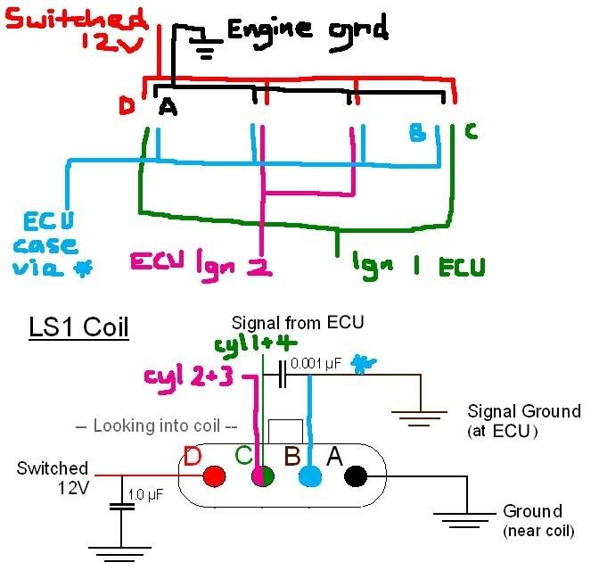 LS1in205.jpg