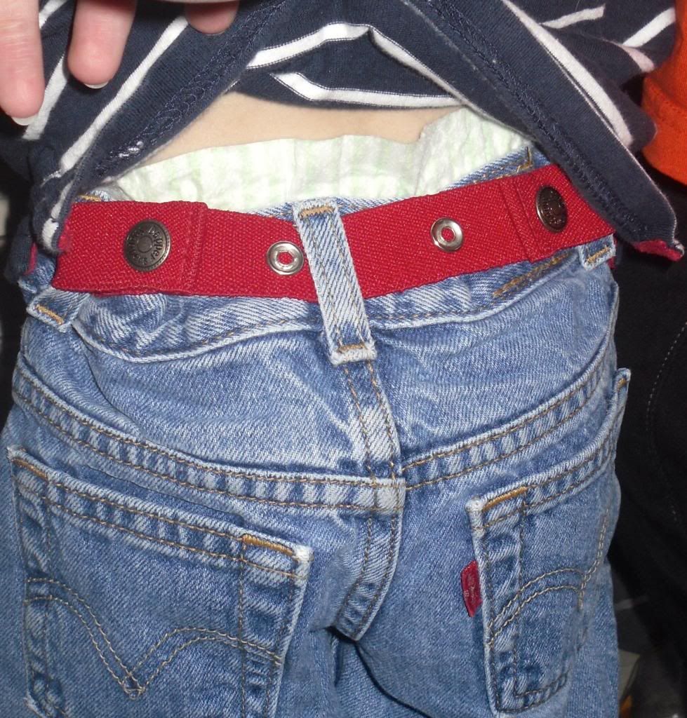 Toddler Belt