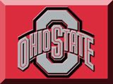 Ohio State Icon