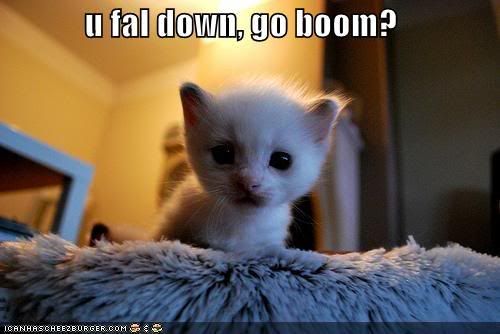 funny-pictures-kitten-asks-if-you-f.jpg