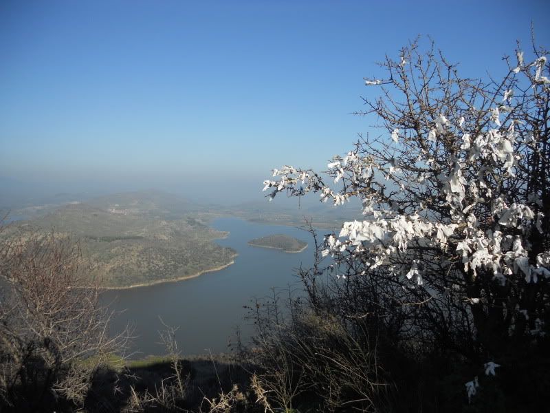 TravelPhotos-fromDubaitothetraintoBucharest029.jpg Acropolis and the Temple of  Zeus