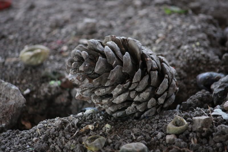 IMAGE: http://i98.photobucket.com/albums/l253/drumebskater/c465d573.jpg