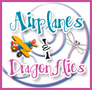 Airplanes and Dragonflies