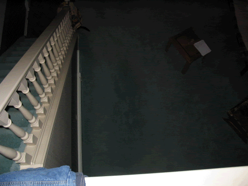 viewdownstairs2.gif