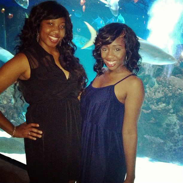 885cbef69bfa11e1ab011231381052c0_7