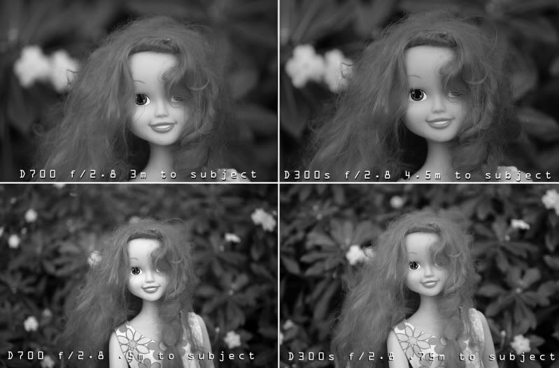 FX-vs-DX-DOF-example.jpg