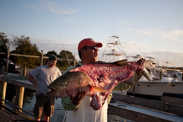 no weigh-able sharks were caught. other boats ran to atlantis, the fishtails ... no weigh-able sharks were caught. other boats ran to atlantis, the fishtails ...