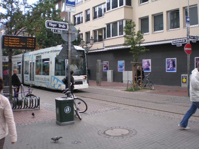 P6250089.jpg
