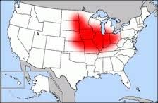 cornbelt2_zpse81ab6a3.jpg