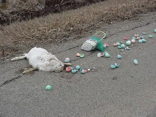 Kill bunny photo: Easter road kill easter_bunny_largeJPG.jpg