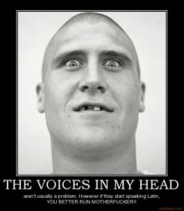 The Voices In My Head The Voices In My Head